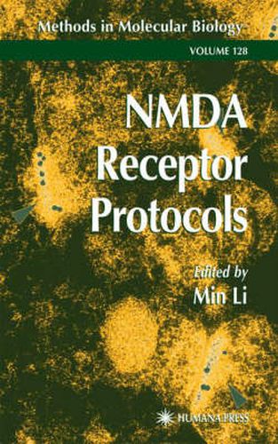 Cover image for NMDA Receptor Protocols