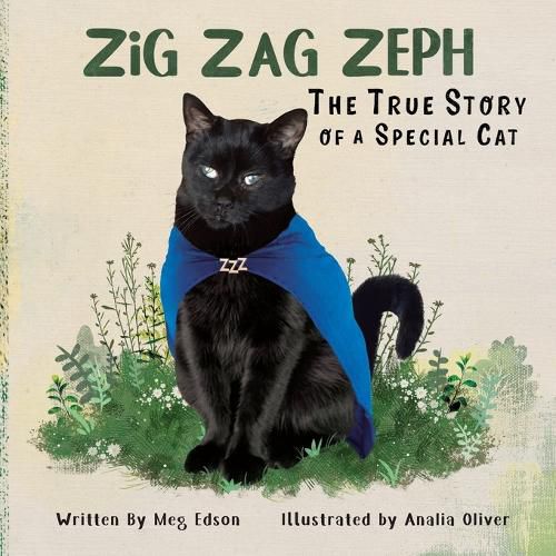 Cover image for Zig Zag Zeph