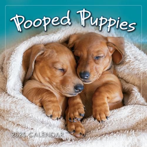 2025 Pooped Puppies Mini Calendar