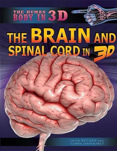 Cover image for The Brain and Spinal Cord in 3D