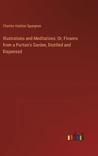 Cover image for Illustrations and Meditations