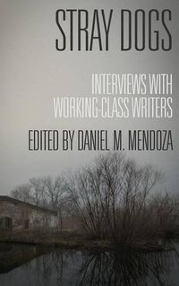 Cover image for Stray Dogs: Interviews with Working-Class Writers