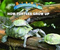 Cover image for How Turtles Grow Up