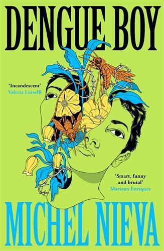 Cover image for Dengue Boy