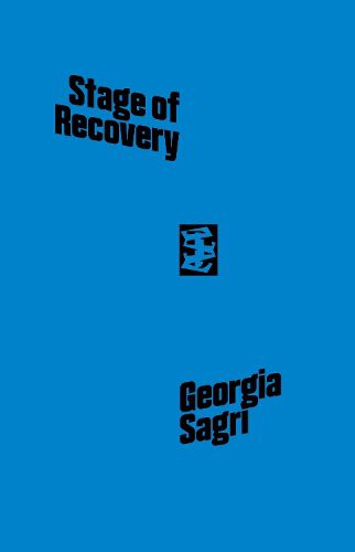 Cover image for Iasi, Stage Of Recovery