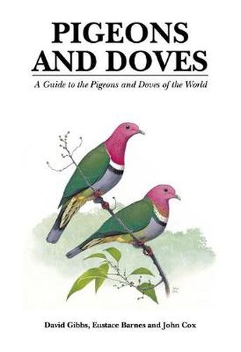 Cover image for Pigeons and Doves: A Guide to the Pigeons and Doves of the World