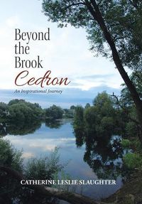 Cover image for Beyond the Brook Cedron: An Inspirational Journey