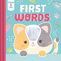 Cover image for Touch & Feel First Words