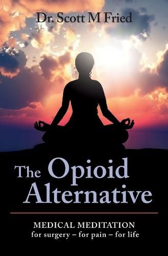 Cover image for The Opioid Alternative