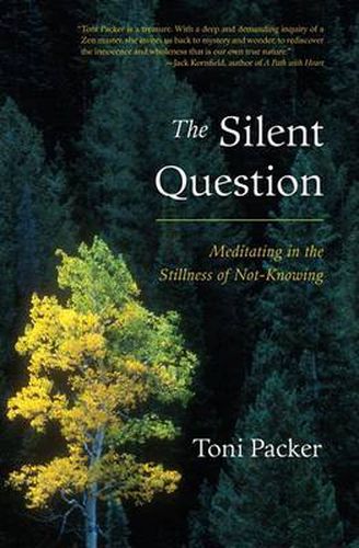 The Silent Question: Meditating in the Stillness of Not Knowing