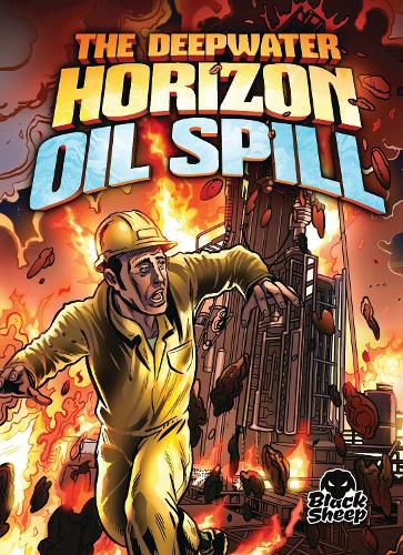 Cover image for The Deepwater Horizon Oil Spill