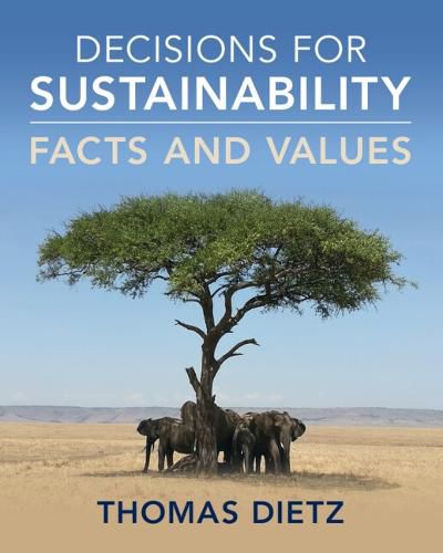 Cover image for Decisions for Sustainability