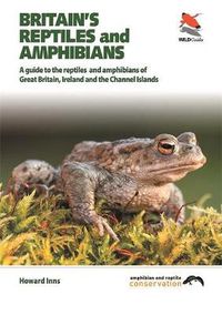 Cover image for Britain's Reptiles and Amphibians: A Field Guide, Covering Britain, Ireland and Channel Islands