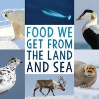 Cover image for Food We Get from the Land and Sea: English Edition