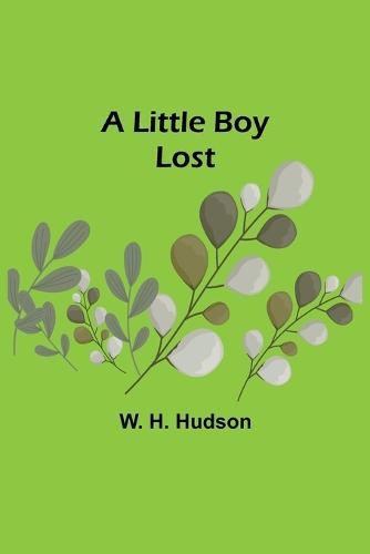 Cover image for A Little Boy Lost