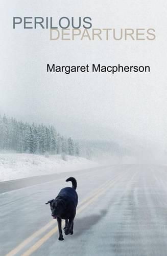 Cover image for Perilous Departures