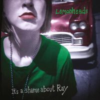 Cover image for Its A Shame About Ray 30th Anniversary ** Vinyl