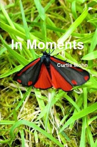 Cover image for In Moments