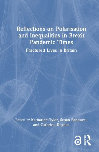 Cover image for Reflections on Polarisation and Inequalities in Brexit Pandemic Times