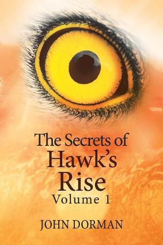 Cover image for The Secrets of Hawk'S Rise