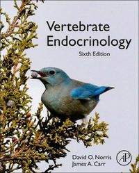 Cover image for Vertebrate Endocrinology