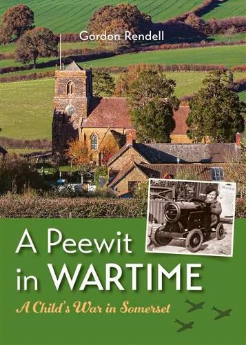 Cover image for A Peewit in Wartime: A Child's War in Somerset