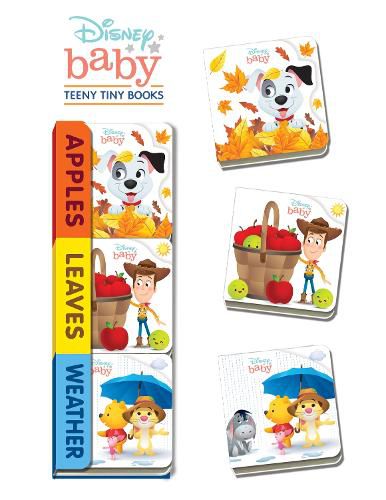 Cover image for Disney Baby Apples, Leaves, Weather