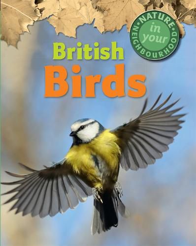 Cover image for Nature in Your Neighbourhood: British Birds
