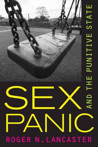 Cover image for Sex Panic and the Punitive State