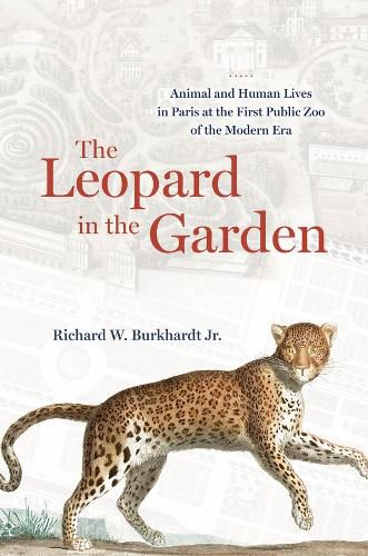 Cover image for The Leopard in the Garden