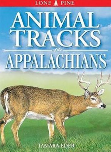 Cover image for Animal Tracks of the Appalachians