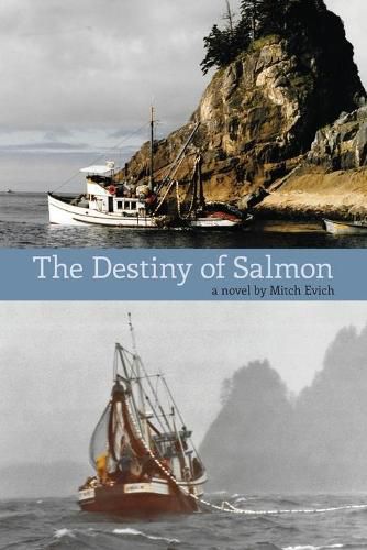 Cover image for The Destiny of Salmon