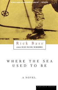 Cover image for Where the Sea Used to be