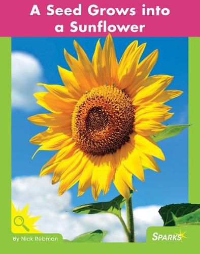 Cover image for A Seed Grows Into a Sunflower