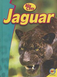 Cover image for Jaguar