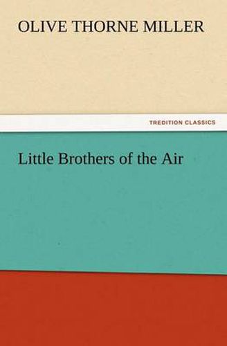 Cover image for Little Brothers of the Air