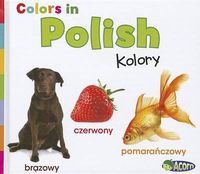 Cover image for Colors in Polish: Kolory