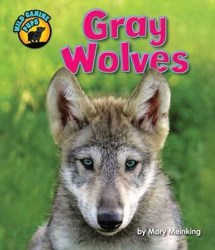 Gray Wolves