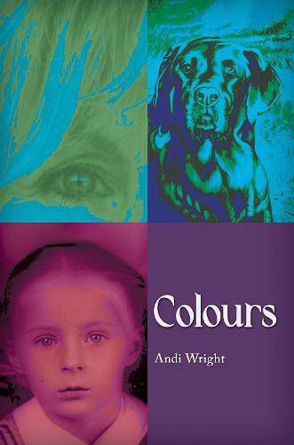 Cover image for Colours
