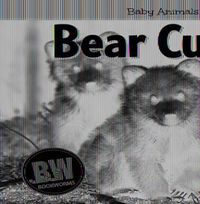 Cover image for Bear Cubs