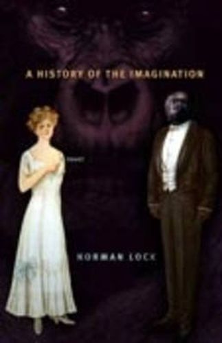 A History of the Imagination: A Novel