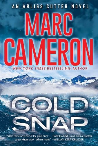 Cover image for Cold Snap