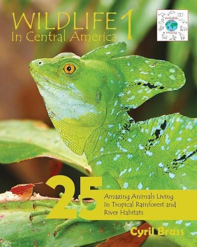 Cover image for Wildlife In Central America 1: 25 Amazing Animals Living in Tropical Rainforest and River Habitats