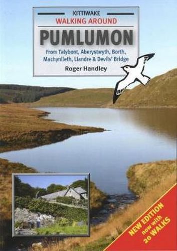 Cover image for Walking Around Pumlumon