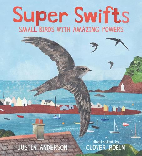 Cover image for Super Swifts: Small Birds with Amazing Powers