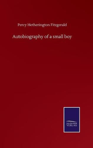 Cover image for Autobiography of a small boy