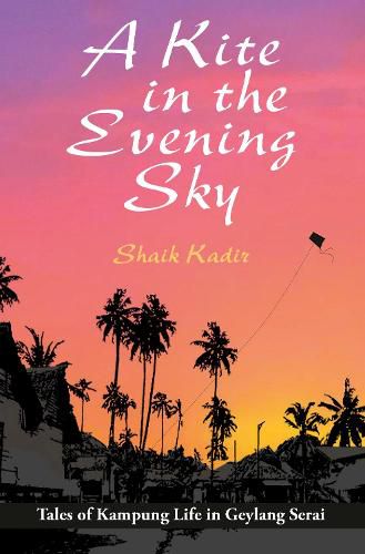 Cover image for A Kite in the Evening Sky