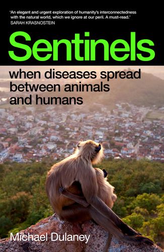 Cover image for Sentinels