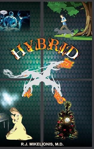 Cover image for Hybrid