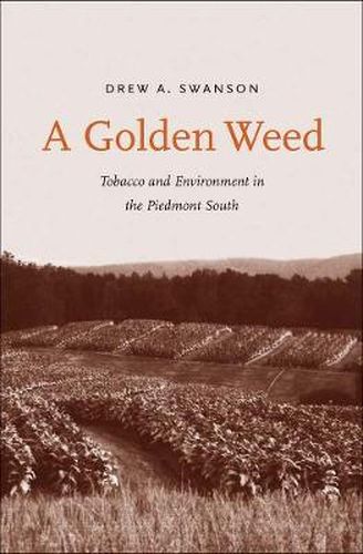 Cover image for A Golden Weed: Tobacco and Environment in the Piedmont South